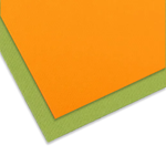 CANSON MI-TEINTES PAPER