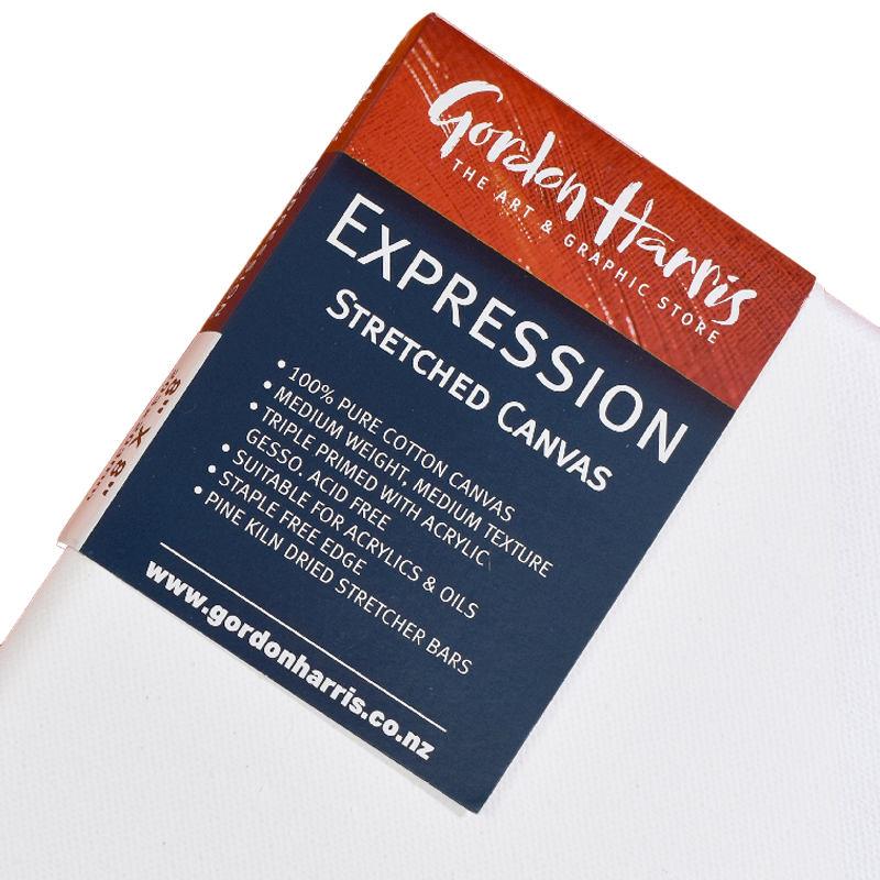 EXPRESSION STRETCHED CANVASES
